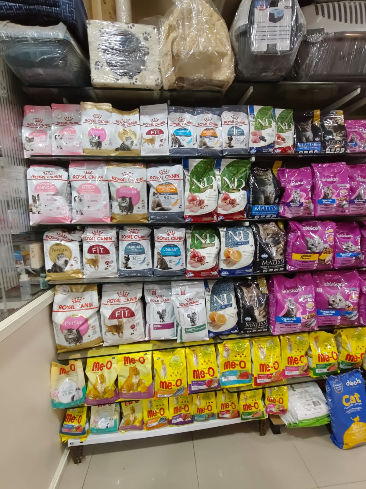 Sarvadnya Pet Care Unit veterinary clinic, Pune